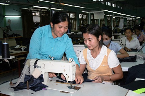 Vocational training highlighted in new rural development   - ảnh 2
